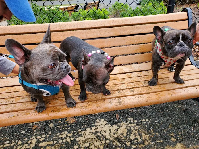 Hilltop Reservation Dog Park 10