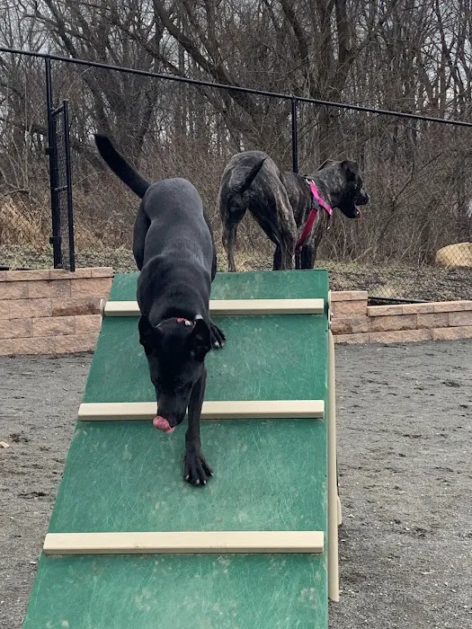 Hilltop Reservation Dog Park 1
