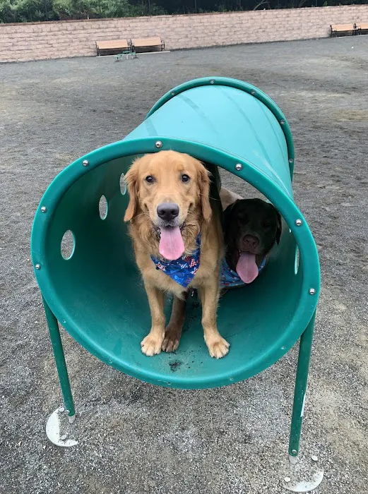 Hilltop Reservation Dog Park 7