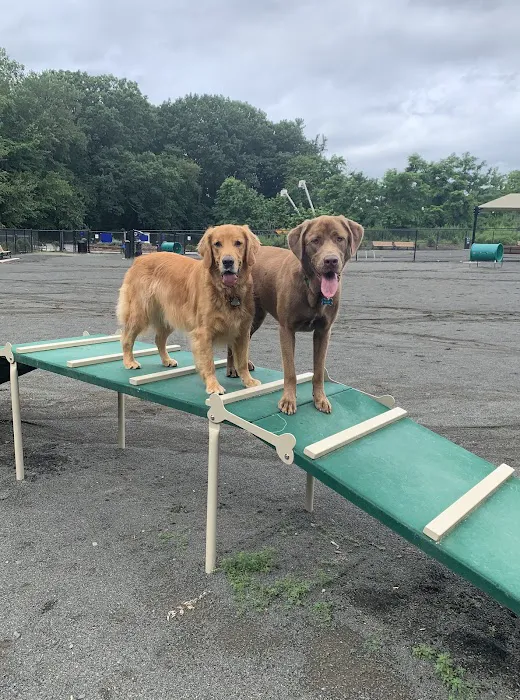 Hilltop Reservation Dog Park 8