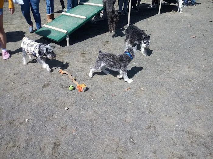 Hilltop Reservation Dog Park 9