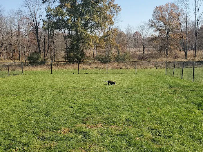 Cameron Dog Park 2
