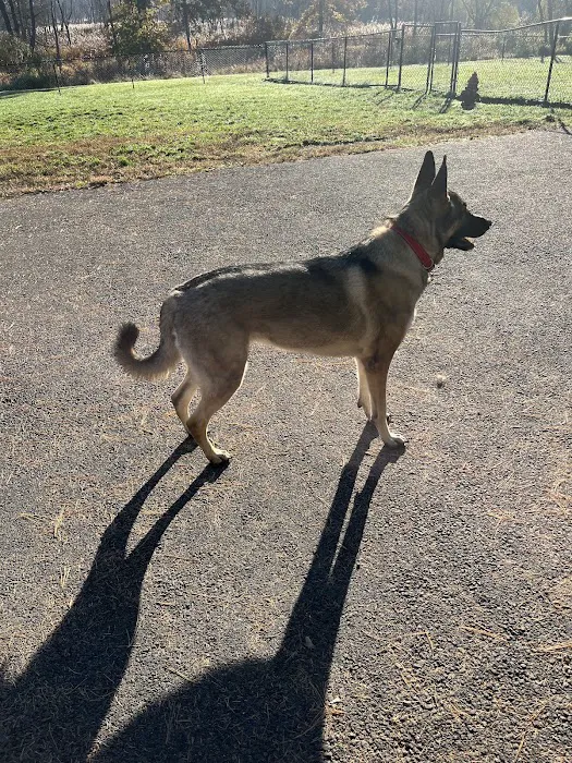 Cameron Dog Park 1