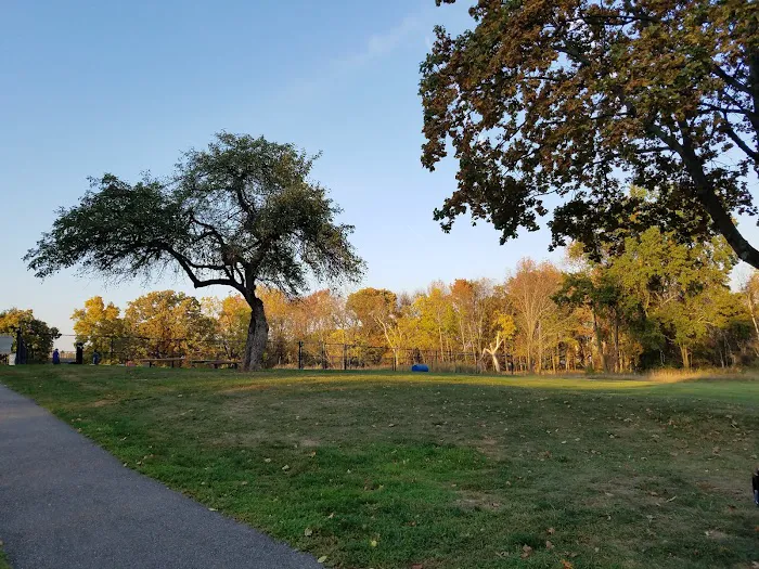 Cameron Dog Park 5