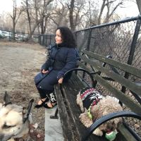 Highbridge Park Dog Run ico