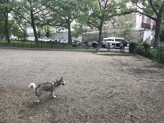 Highbridge Park Dog Run 2