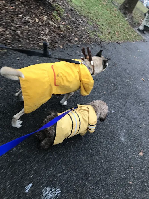 Highbridge Park Dog Run 6
