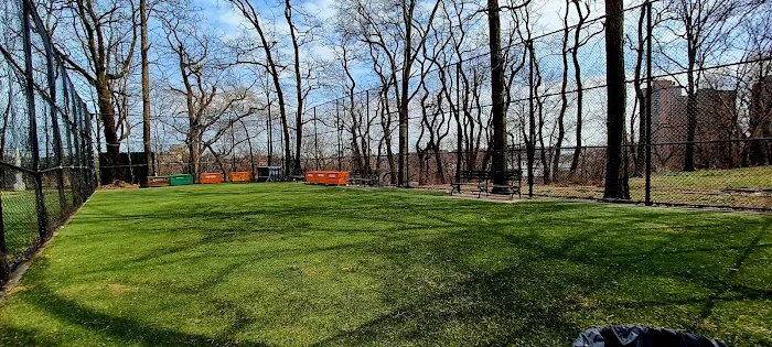 Highbridge Park Dog Run 5