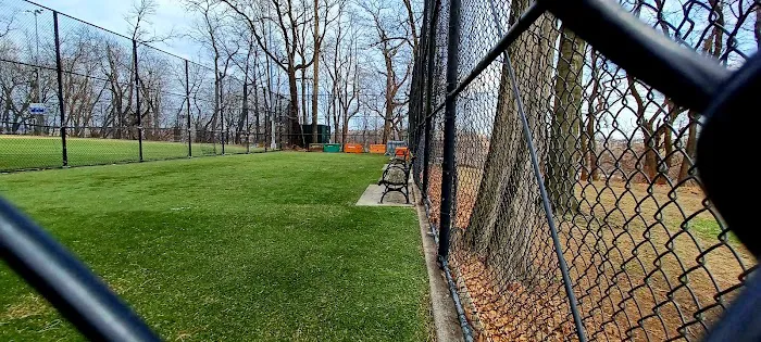 Highbridge Park Dog Run 7