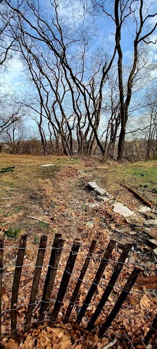Highbridge Park Dog Run 9