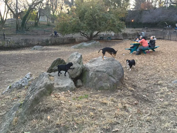 Sir William's Dog Run 1