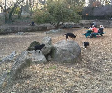 Sir William's Dog Run