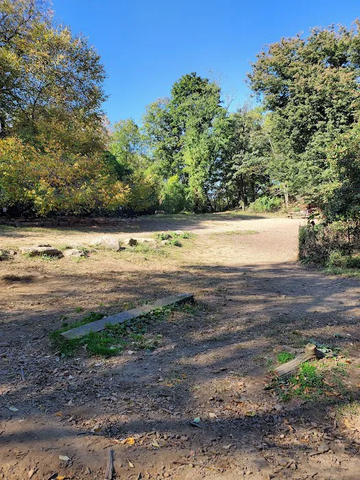 Sir William's Dog Run 4