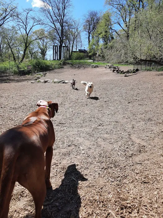 Sir William's Dog Run 9