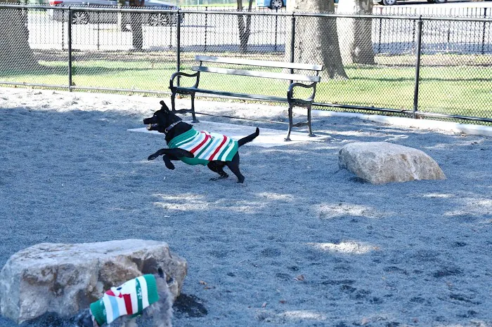 Devoe Park Dog Run 1