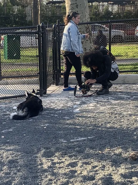 Devoe Park Dog Run 5