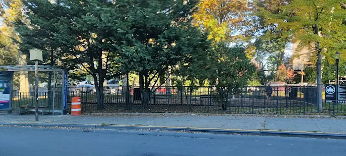 Devoe Park Dog Run 6