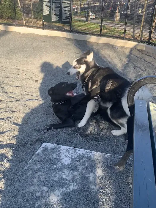 Devoe Park Dog Run 9