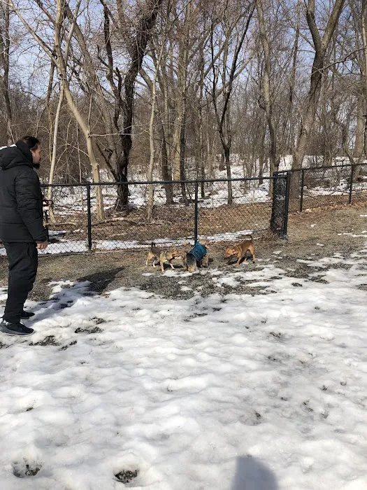 Dog Bone Run 1