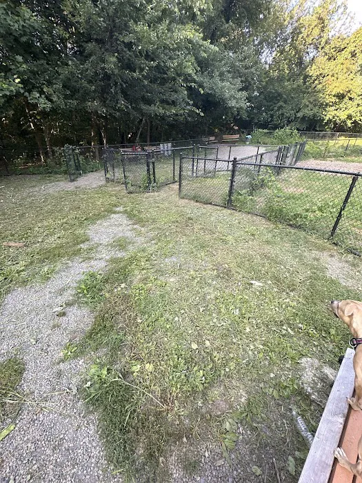 Dog Bone Run 3