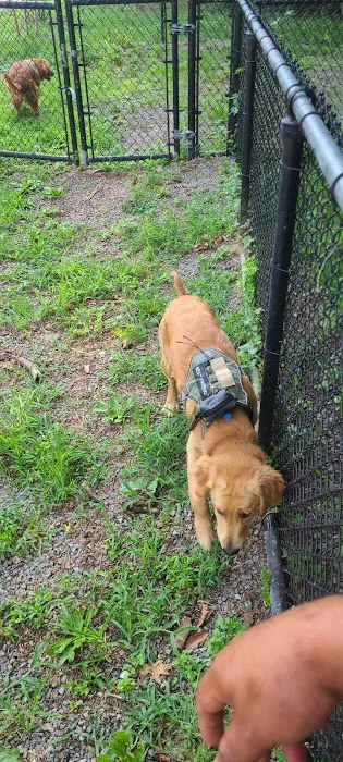 Dog Bone Run 5