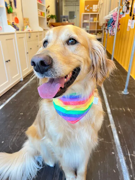 Nora Jane's Pet Supply 9