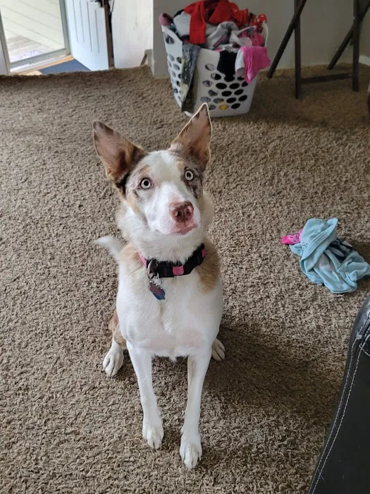 Nora Jane's Pet Supply 10