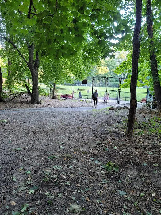 Oneida Run 5