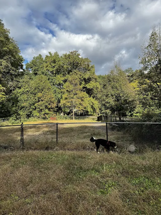 Canine Court 2