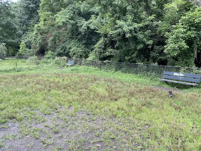 Canine Court 3