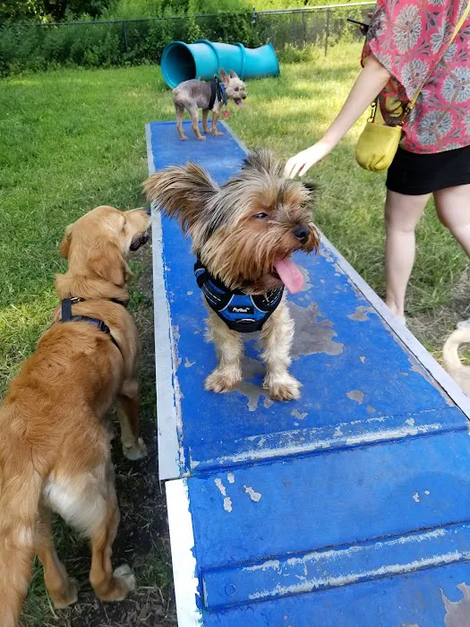 Canine Court 9