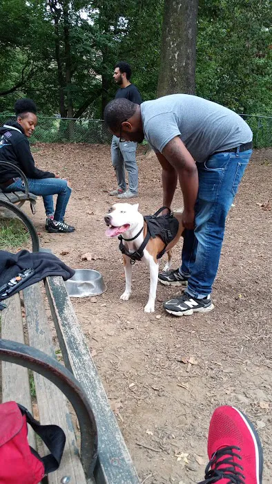 Ewen Park Dog Run 1