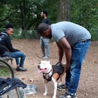 Ewen Park Dog Run ico