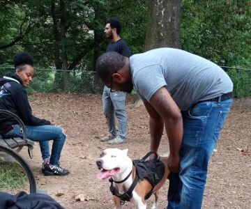 Ewen Park Dog Run