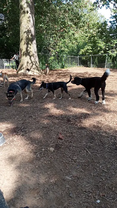 Ewen Park Dog Run 2