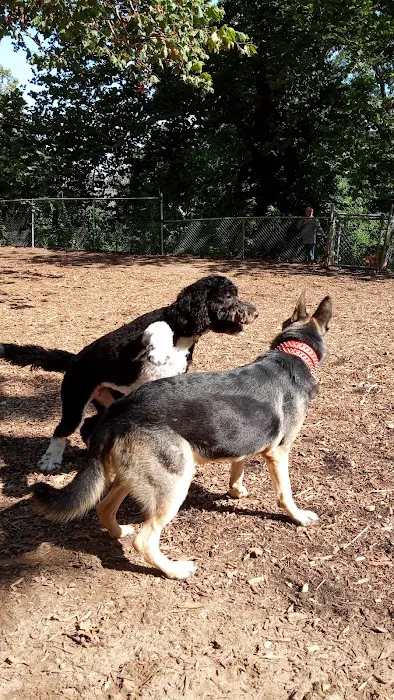 Ewen Park Dog Run 3