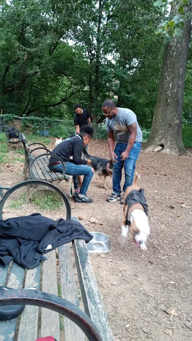 Ewen Park Dog Run 4