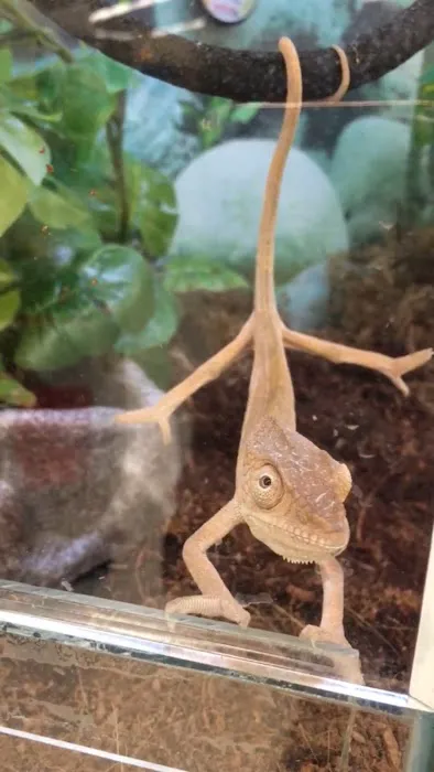Petco 2