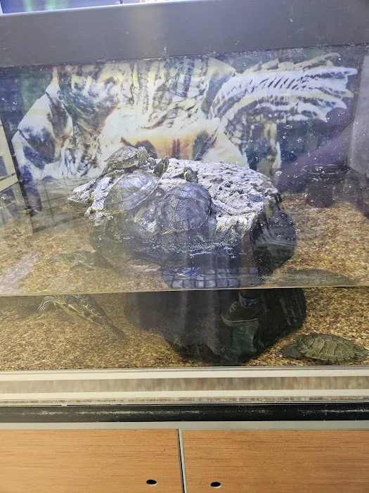 Petco 4