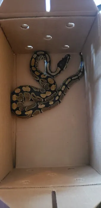 Petco 8