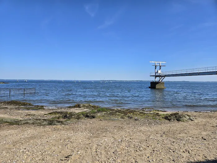 Larchmont Dog Beach 4