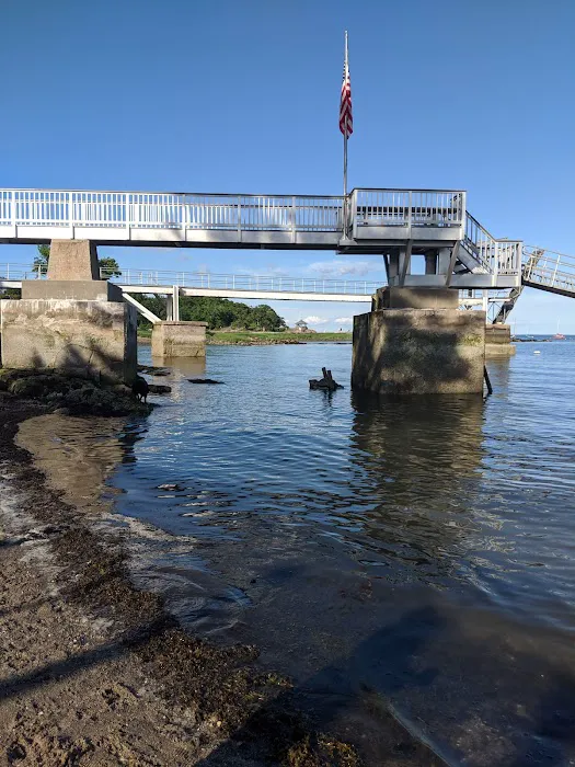 Larchmont Dog Beach 6