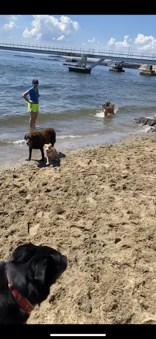 Larchmont Dog Beach 9