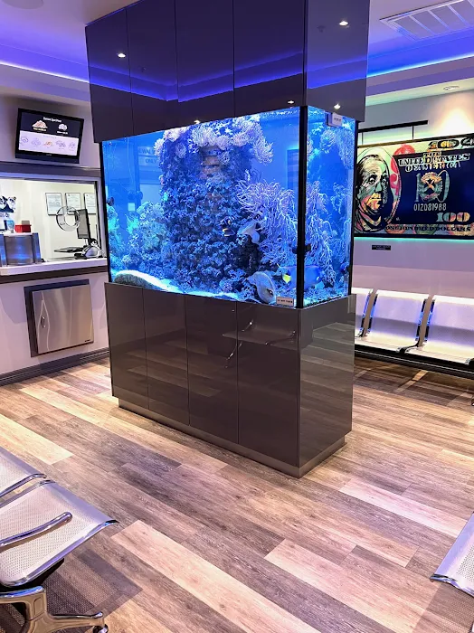 ReefLife 2