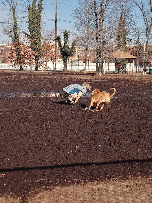 Town of Oyster Bay Dog Park 1