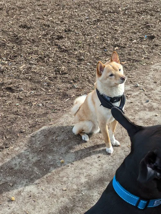 Town of Oyster Bay Dog Park 6