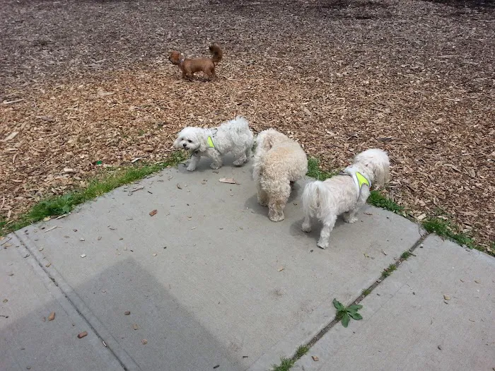Town of Oyster Bay Dog Park 4