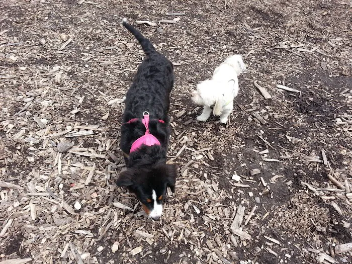 Town of Oyster Bay Dog Park 5