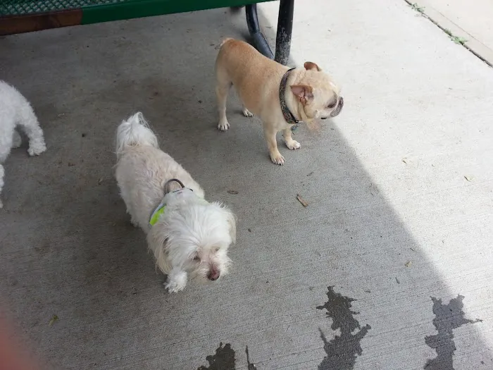 Town of Oyster Bay Dog Park 7
