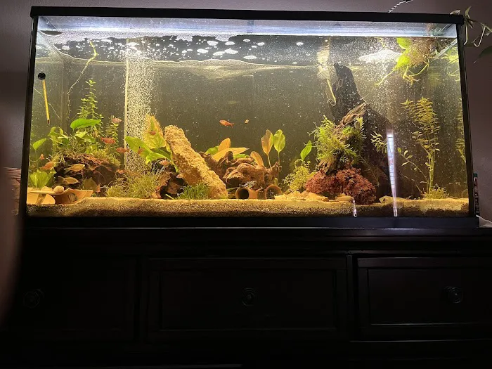 TK Aquatics 1